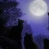 Moon Sterling