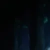 Полинка Козина