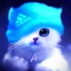 mila cat