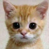 Кирюха Котянский