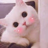 diona_top