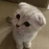 someshittt