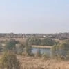 Dari_662