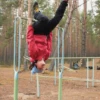 iandri