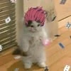 ._.ReDiSkA._.