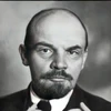 чёрная ромашка.