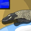 Mr_Monitor_lizard_1001_nights