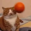 Летос