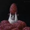 Шизофрения2.0