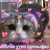 обеднина_дг_вч