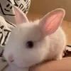 Феликс-солнышко