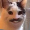 Тетушка Хацу