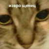 УсловНО