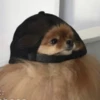 Пряный персик