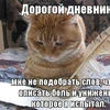 дневники моих проблем