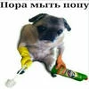 Диван Карповна