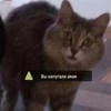 заходит в бар улитка говорит
