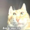 Х0л0дНыЙ...4аЙ