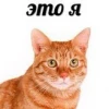 Милый кисик