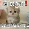 Безглазый_кукурузняк