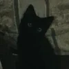 логово_юного_писателя