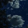 Apollonian_