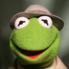 Croaking Lawyer