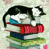 Кошка с книжкой