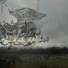 некропаразит
