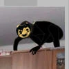 Сэмми под шубой