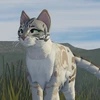 -meow