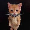 qqwwl0u