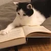Bukenist