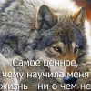 Вера Ромашова