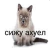 .Чай с мятоЙ.