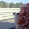 Шибой
