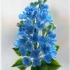Blue Lilac
