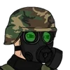 Бодя тои
