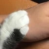 Карина Василькова