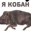 Kabanchik_kokosik