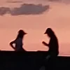 Таверна муцзюй