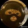 MeeFoo