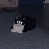 mmfpryrf8q