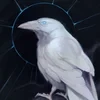 The_white_raven