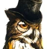 _Owlest_