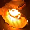 Перерождённая пламенем