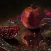 vino.veritas