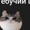 Пуми
