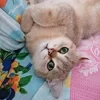 Настасья_Сибириночка