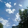 Габриэль-Фрост